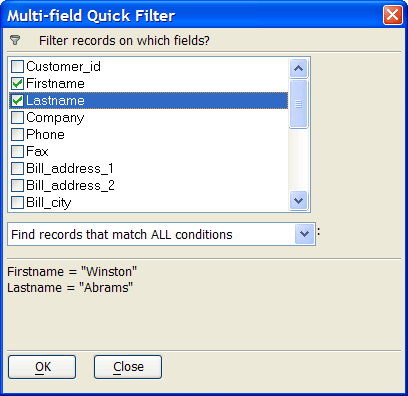 Multi Field Quick Filter Dialog Box