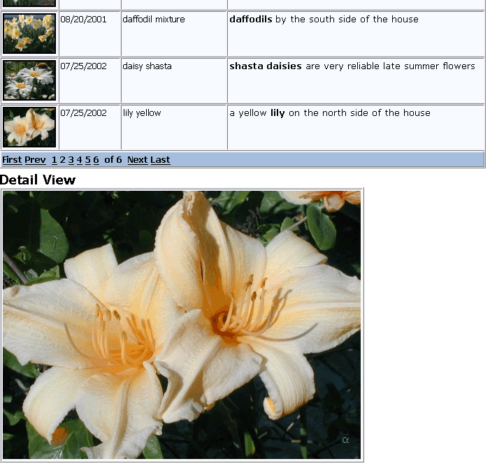Wpt Displaying Images